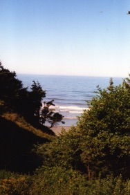 Olympic Peninsula