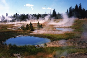 West Rhumb Geyser Basin