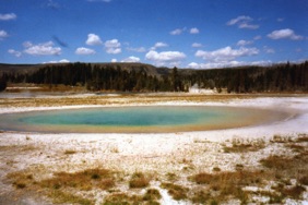 Beauty Pool