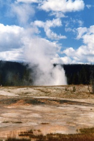 Daisy Geyser : atteint jusqu'&agrave; 23 m de haut ; son &eacute;ruption dure de 3 &agrave; 5 minutes.