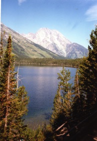 Jenny Lake