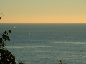 une baleine !