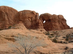 Il y a plus de 200 arches &agrave; travers le parc