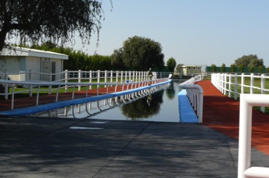 piscine de r&eacute;&eacute;ducation pour chevaux