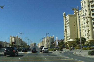 nous voil&agrave; sur le tronc de la Palme