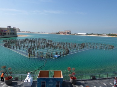 Nouvelle installation &agrave; LA POINTE